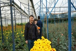 Dalat: Tour particular com a Cachoeira Elephant e o Pagode