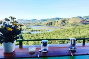 Dalat: Mario kart - Mongo Land - Visita ao campo