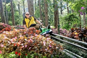 DALAT COUNTRYSIDE- CRAZY HOUSE & MARIO KART