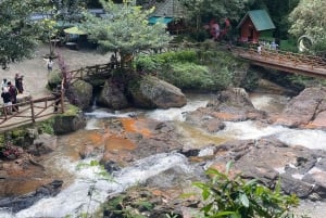 DALAT COUNTRYSIDE- CRAZY HOUSE & MARIO KART