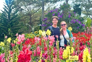 Dalats bedste turistattraktioner - vandfald - Mario Kart