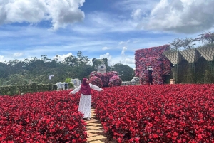 Dalats bedste turistattraktioner - vandfald - Mario Kart