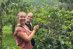 Dalats bedste turistattraktioner - vandfald - Mario Kart