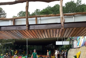 Dalats bedste turistattraktioner - vandfald - Mario Kart