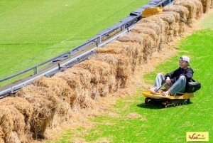 Dalats bedste turistattraktioner - vandfald - Mario Kart