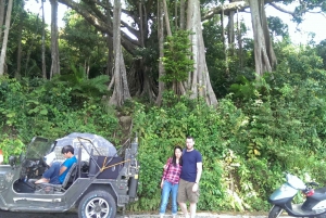 Danang Private Jeep Tour