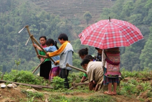 Sapa-trekkingdeals met een lokale gids