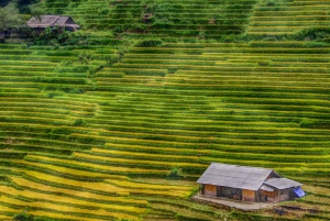 Sapa-trekkingdeals met een lokale gids