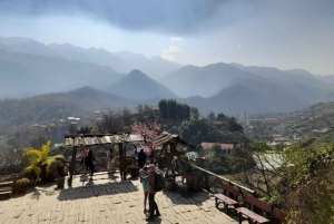 Excursion d'une journée au village de Cat Cat - Fanxipang Peak/déjeuner