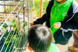 Kindertagesstätte von Bex in Da Nang | Halbtagsprogramm – Thé School