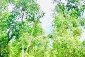 Avgång från Ho Chi Minh-staden: Mekong Dream 4D3N