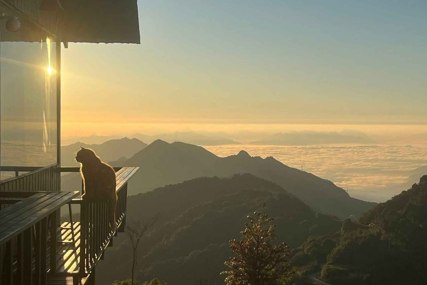 Visite privative de 3 jours à Da Lat depuis Hô-Chi-Minh-Ville