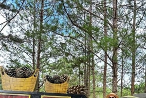 Visite privative de 3 jours à Da Lat depuis Hô-Chi-Minh-Ville