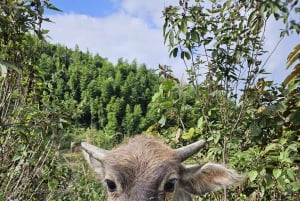Découvrez Sapa : 2 jours et 1 nuit d'aventure en trek et séjour confortable chez l'habitant à LaLa.