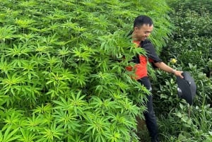 Découvrez Sapa : 2 jours et 1 nuit d'aventure en trek et séjour confortable chez l'habitant à LaLa.