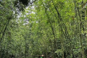Découvrez Sapa : 2 jours et 1 nuit d'aventure en trek et séjour confortable chez l'habitant à LaLa.