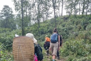 Découvrez Sapa : 2 jours et 1 nuit d'aventure en trek et séjour confortable chez l'habitant à LaLa.