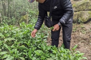 Découvrez Sapa : 2 jours et 1 nuit d'aventure en trek et séjour confortable chez l'habitant à LaLa.