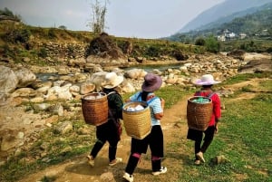 Découvrez Sapa : 2 jours et 1 nuit d'aventure en trek et séjour confortable chez l'habitant à LaLa.
