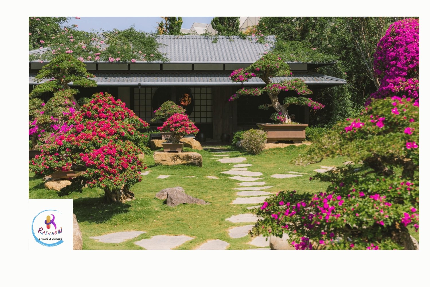 新たなダラットを発見：モンゴランド、養蜂場、花の村々