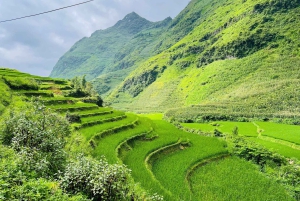 Dong Van: Guided Trek to Ancient Villages with Picnic Lunch