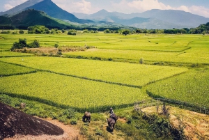 Tour ad anello Easy Rider da Hoi An, Da Nang via Hai Van Pass