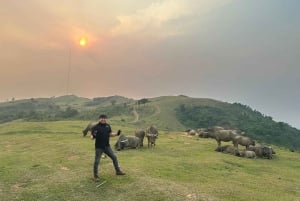 Passeio de mota Easy Rider pela passagem Hai Van: HoiAn/DaNang/Hue