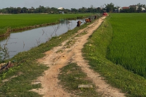 Passeio de mota Easy Rider pela passagem Hai Van: HoiAn/DaNang/Hue
