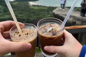 Passeio de mota Easy Rider pela passagem Hai Van: HoiAn/DaNang/Hue