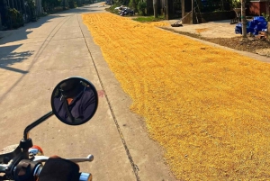 Excursión Easy Rider de Hoi An, Da Nang a Hue por el Paso de Hai Van