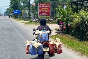 Easy Rider-tur fra Hoi An, Da Nang til Hue via Hai Van Pass