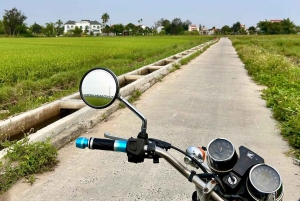 Easy Rider Motorbike Tour via Hai Van Pass: Hue/DaNang/HoiAn