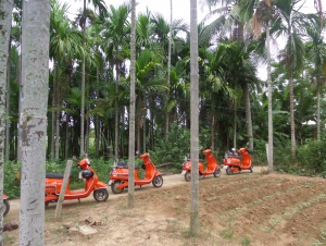 Ecological Tours