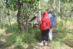 Excursión con elefantes en Tay Nguyen