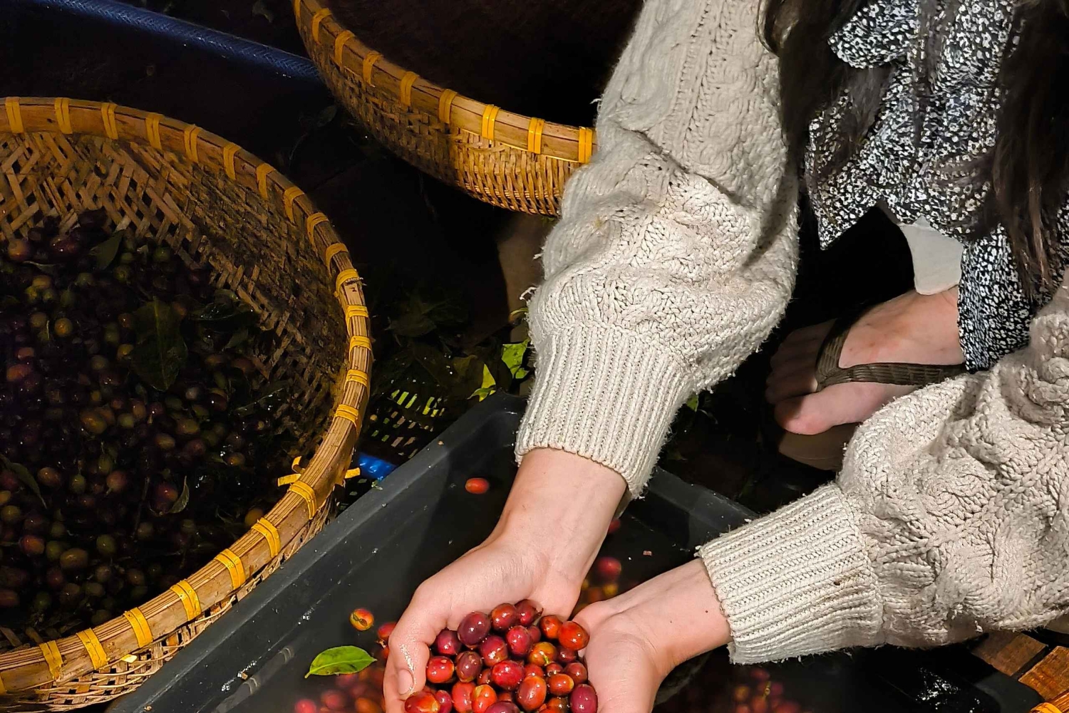 Erlebe Spezialitätenkaffee mit nachhaltigen Kaffeebauern
