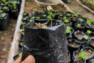 Erlebe Spezialitätenkaffee mit nachhaltigen Kaffeebauern