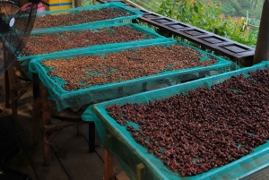 Erlebe Spezialitätenkaffee mit nachhaltigen Kaffeebauern