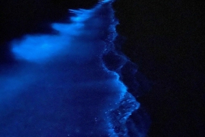 Experimenta la Puesta de Sol y el Plancton Bioluminiscente Nocturno en Kayak