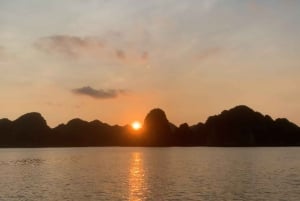 Experience the Sunset & Plankton Bioluminescent Night Kayak