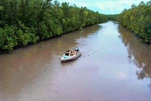Esplora Ca Mau: il Parco Nazionale di Dat Mui