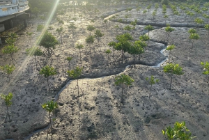 Esplora Ca Mau: il Parco Nazionale di Dat Mui