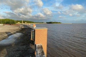 Esplora Ca Mau: il Parco Nazionale di Dat Mui