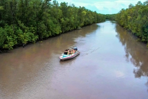 Utforsk Ca Mau: Dat Mui nasjonalpark