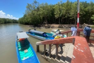 Utforsk Ca Mau: Dat Mui nasjonalpark