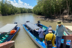 Utforsk Ca Mau: Dat Mui nasjonalpark