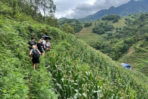 Explore Sapa by TrekkingAdventures, Mountain,Rice fields