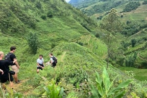Explore Sapa by TrekkingAdventures, Mountain,Rice fields