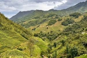 Explore Sapa by TrekkingAdventures, Mountain,Rice fields