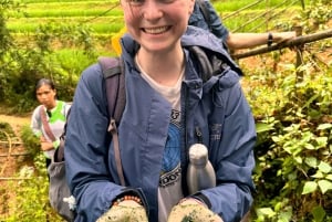 Explore Sapa by TrekkingAdventures, Mountain,Rice fields