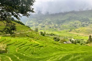 Explore Sapa by TrekkingAdventures, Mountain,Rice fields